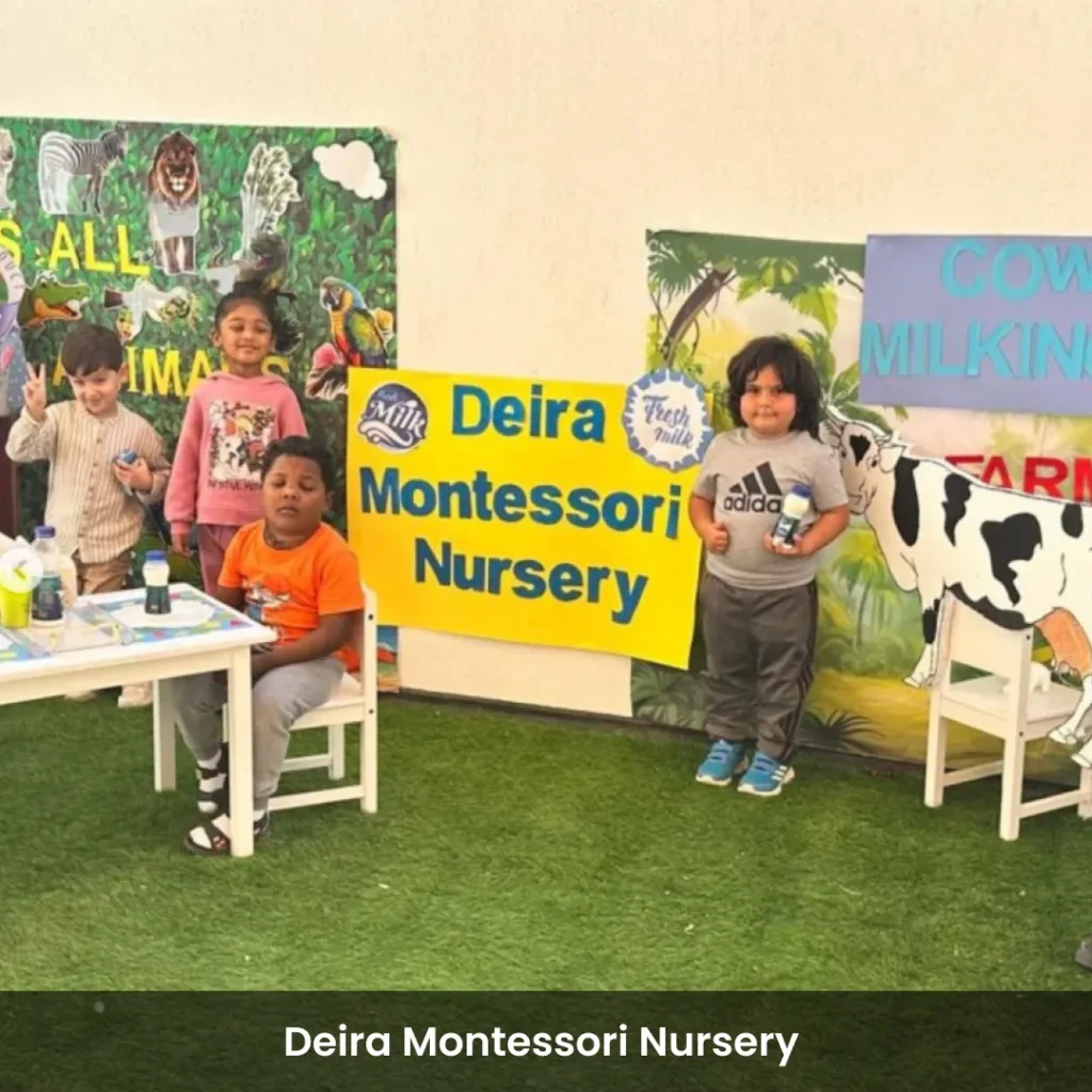 Deira Montessori Nursery (DMN) mixt academy